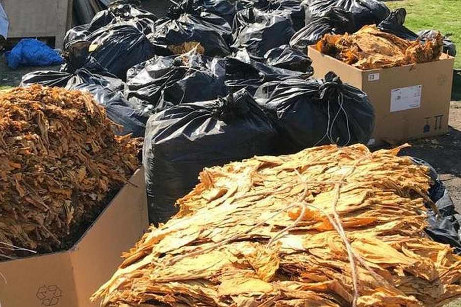 Policjanci ujawnili w stodole m.in. 500 kg nielegalnego suszu tytoniowego, Foto: Policja