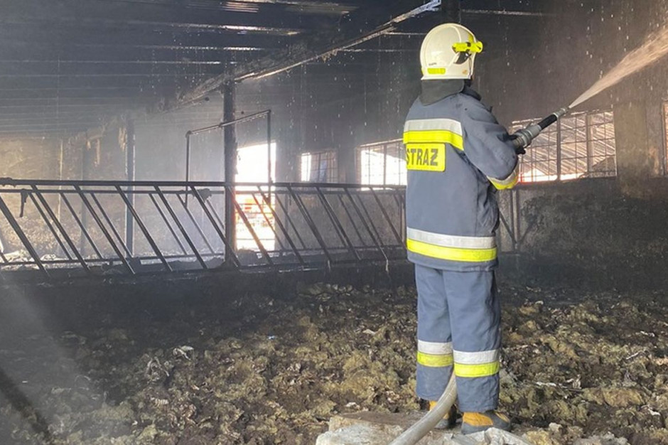 Obora spłonęła, ale strażakom udało się ewakuować bydło, Fot. OSP Krotoszyn