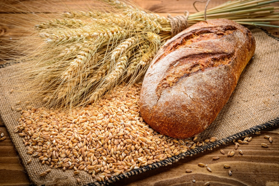 W tym roku większość zbóż jest jakości paszowej, fot. shutterstock