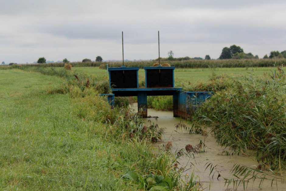 Wody Polskie zapowiadają przeciwdziałanie suszy na terenach rolniczych, Fot. GT
