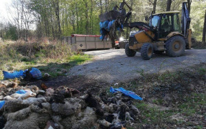 Leśnicy musieli zlikwidować nielegalne składowisko odpadów, zdjęcia: Nadleśnictwo Krzeszowice