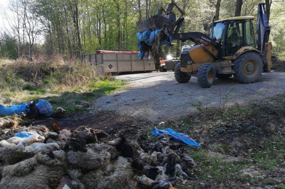 Leśnicy musieli zlikwidować nielegalne składowisko odpadów, zdjęcia: Nadleśnictwo Krzeszowice