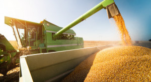 Mocny spadek ceny amerykańskiej kukurydzy