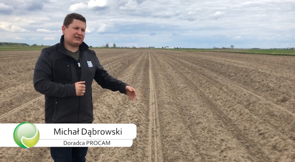 O uprawie ziemniaków w technologii PROCAM z Mazowsza - Doradca Michał Dąbrowski