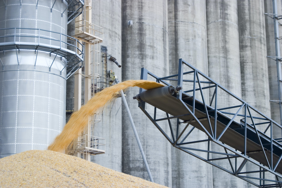 KE: Niskie ceny kukurydzy uruchomiły ustawowy tryb obliczania cła importowego na niektóre zboża; Fot. Shutterstock