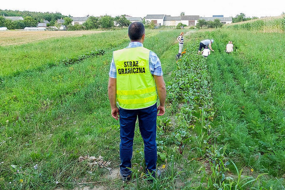 Ukraińcy będą mogli przyjechać do pracy sezonowej w Polsce, Foto ilustracyjne: Straż Graniczna