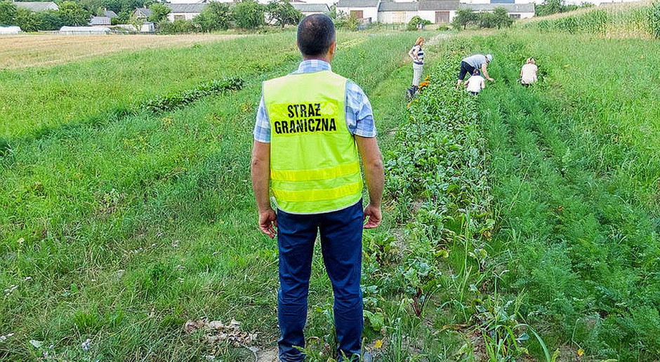 Ukraińcy będą mogli przyjechać do pracy sezonowej w Polsce, Foto ilustracyjne: Straż Graniczna Obywatele Ukrainy otrzymują polskie wizy pracownicze