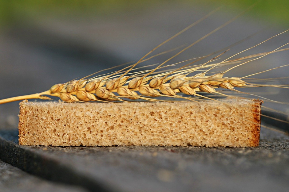 Pogłębiająca się susza może oddziaływać negatywnie na zbiory zbóż i wzrost cen pieczywa i makaronów; Fot.pixabay.com