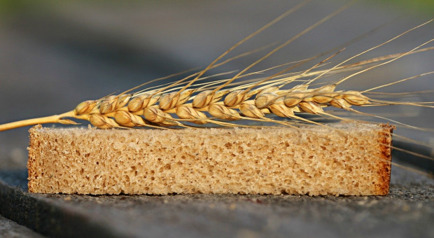 BNP Paribas: Susza spowoduje wzrost cen pszenicy i produktów zbożowych