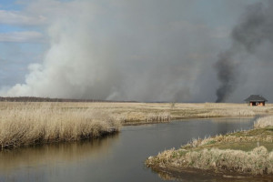 126 tys. zł za wskazanie podpalacza Biebrzańskiego Parku Narodowego