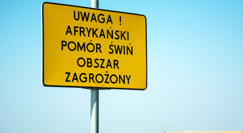 Gotowi na „sezon ASF”?