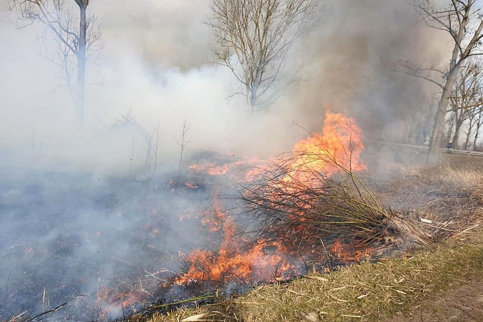 Sprawca wielokrotnie podpalał suche trawy na terenie gminy, Foto: Straz Pożarna