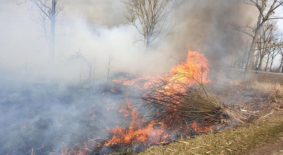 Sprawca wielokrotnie podpalał suche trawy na terenie gminy, Foto: Straz Pożarna Strażak ochotnik podpalał żeby gasić