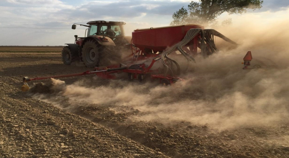 Rozpylenie gleby; Fot. T. Piechota. Susza obnaża niedociągnięcia agrotechniczne - odc. 1