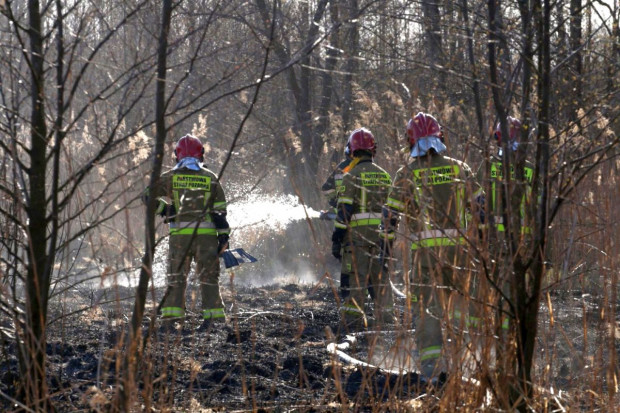 3,5 mln zł na rzecz ochotników gaszących Biebrzański Park Narodowy