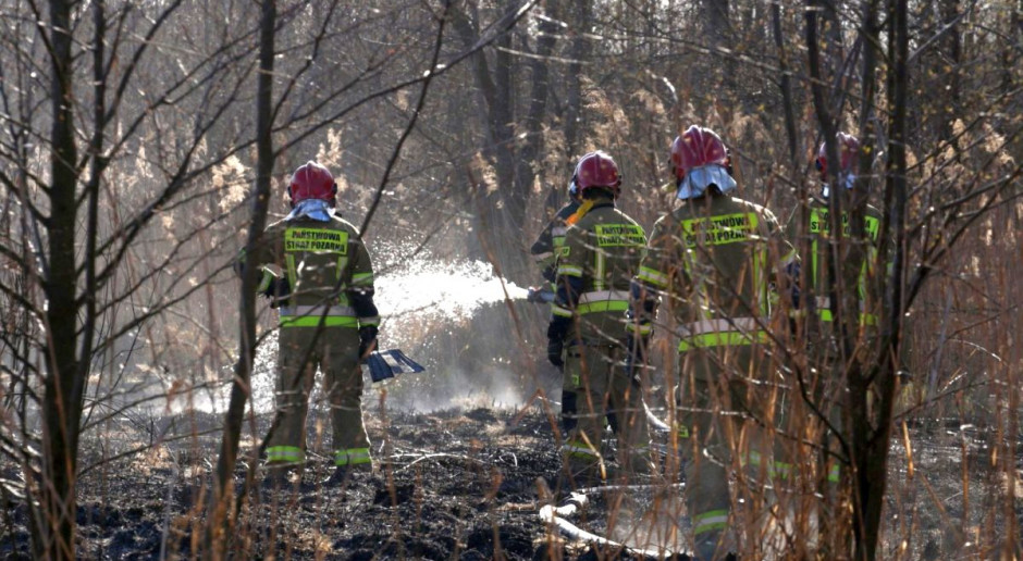 Pożar w parku gasiło w sumie 1500 strażaków, Foto: BPN 3,5 mln zł na rzecz ochotników gaszących Biebrzański Park Narodowy