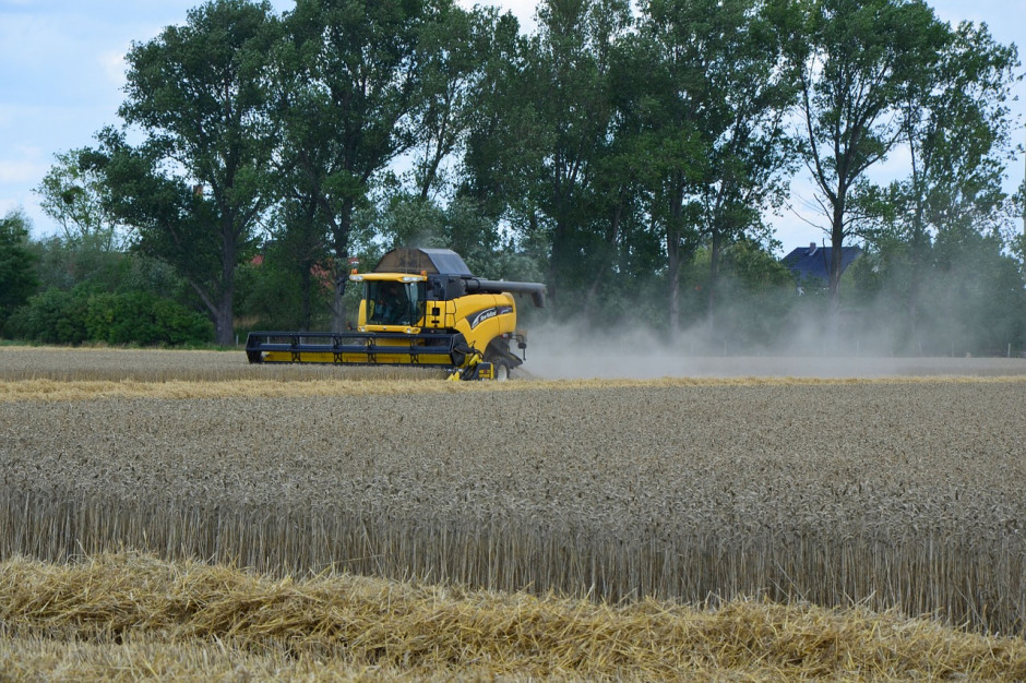 Szacunki FAO dotyczące światowej produkcji zbóż w sezonie 2019/2020 r. nadal wynoszą około 2,720 miliarda ton;Fot.pixabay.com