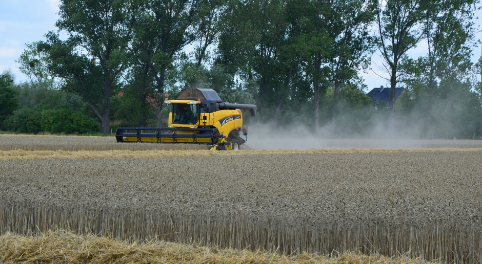 Szacunki FAO dotyczące światowej produkcji zbóż w sezonie 2019/2020 r. nadal wynoszą około 2,720 miliarda ton;Fot.pixabay.com FAO o światowym rynku zbóż w czasie kryzysu koronawirusa