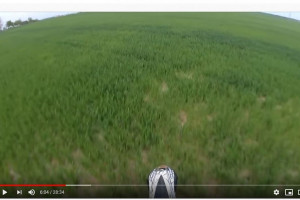 Motocrossowiec pod pręgierzem - stracił licencję