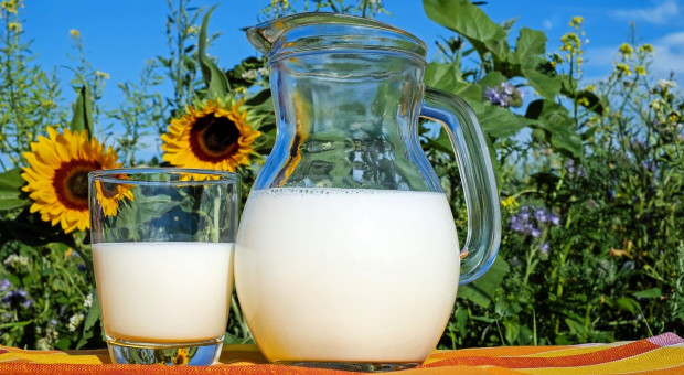USA: Nadmiar mleka, jako pomoc charytatywna