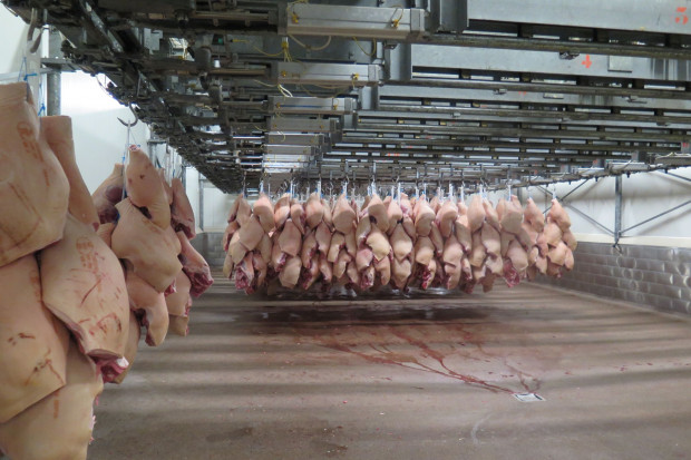 POLPIG: Zamiast dopłat do przechowalnictwa przekażmy mięso Ukrainie