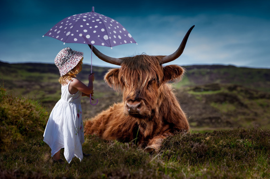 fot. ATDSPHOTO z Pixabay