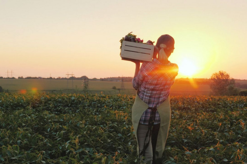 Zdaniem KRIR przepisy są krzywdzące dla rolników, Foto: Shutterstock