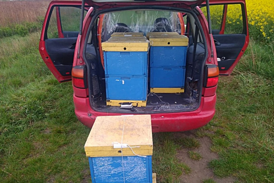 W aucie sprawcy znaleziono 6 skradzionych uli z pszczołami, Foto: KPPŚroda Śląska