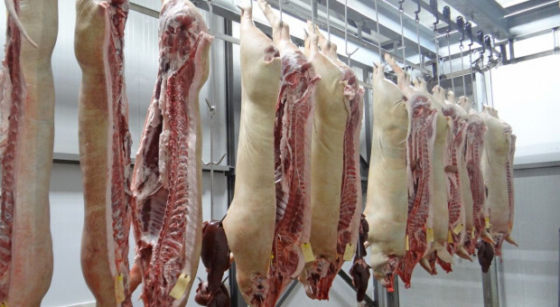 Import i koronawirus niszczą rynek mięsa – KPIR apeluje do ministra