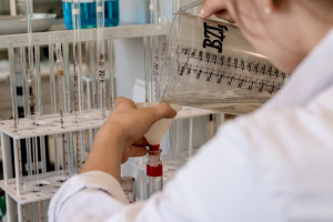 Na UW wyhodowano nowy szczep mikroalgi do zadań specjalnych