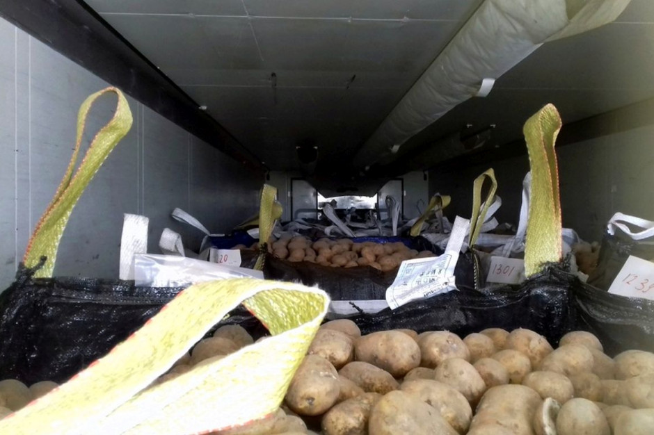 Wiezionych z Finlandii ziemniaków było w naczepie stanowczo zbyt dużo, Foto: WITD Poznań