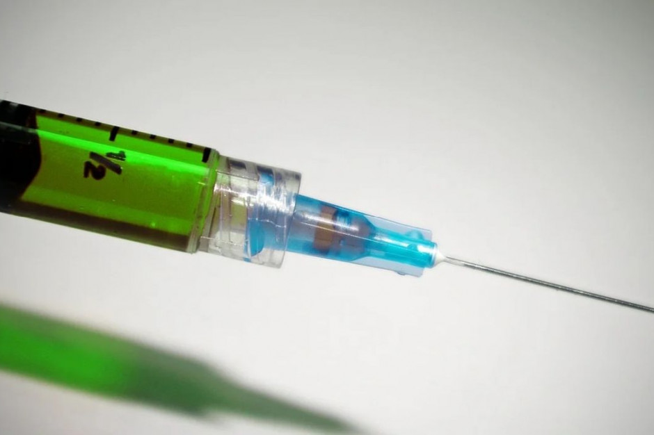 Amerykańska szczepionka na ASF spotkała sie ze sceptycznym odbiorem reszty świata, Foto: pixabay