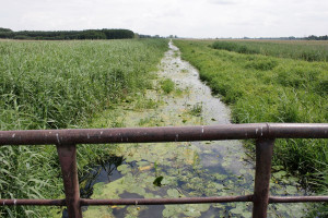 Jak polskie rolnictwo ma sobie poradzić z suszą?
