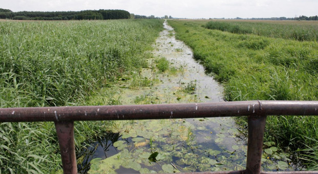 Jak polskie rolnictwo ma sobie poradzić z suszą?
