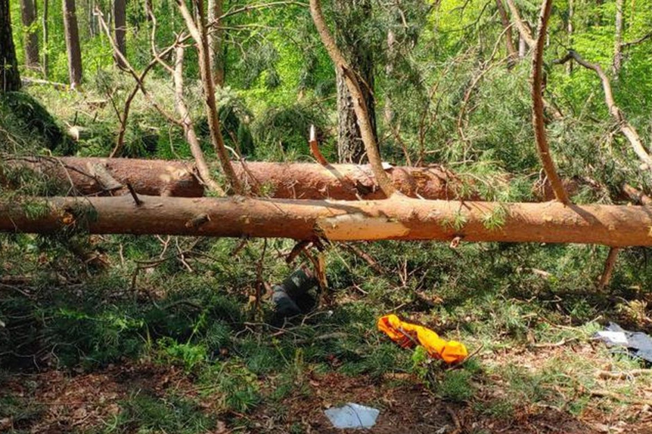 Ścięto drzewo upadło na pracującą przy wycince kobietę, Foto: PSP Pisz