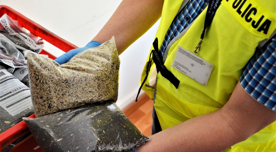 Policja przyłapała oszustów na gorącym uczynku, Foto: Policja Przekręty przy skupie rzepaku w jednej z wielkopolskich firm tłuszczowych