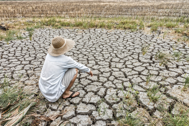 W Portugalii susza doprowadziła do dużych strat w rolnictwie