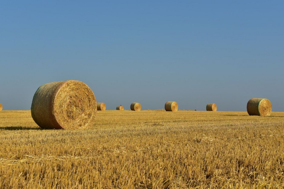 Rolnicy narzekają na brak zainteresowania i niskie ceny słomy, Foto: pixabay