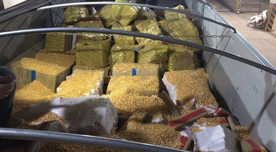 Pod cienką warstwą kukurydzy w naczepie były poukładane wielki paczki z marihuaną, Fot. Polícia Rodoviária Federal Zamiast kukurydzy w naczepie tira była marihuana
