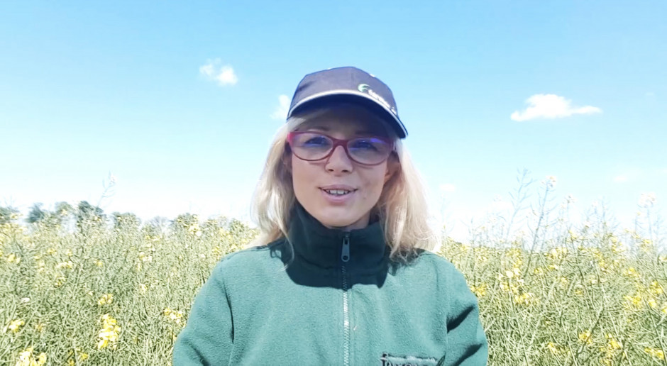 Stan upraw na zachodzie kraju, w powiecie poznańskim; Fot. farmer.pl Stan upraw na zachodzie kraju