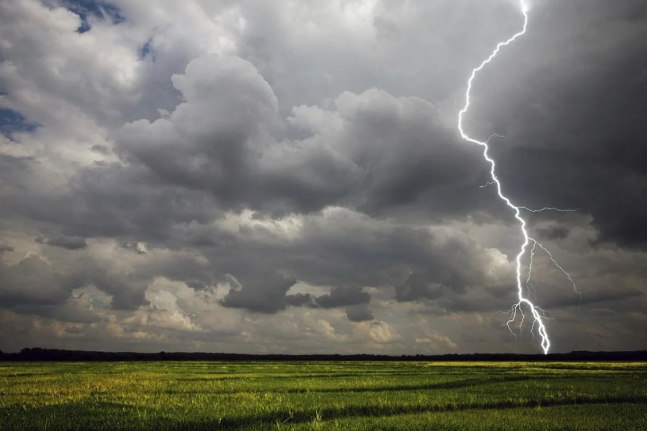 Ojca i syna w polu zaskoczyła burza i poraził piorun, Fot. pixabay