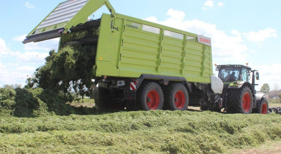 Claas Axion 830 z przyczepą Cargos 8500 podczas prezentacji w gospodarstwie mleczarskim w pow. łukowskim, fot.kh Prosto z pola - przyczepa samozbierająca Claas Cargos 8500