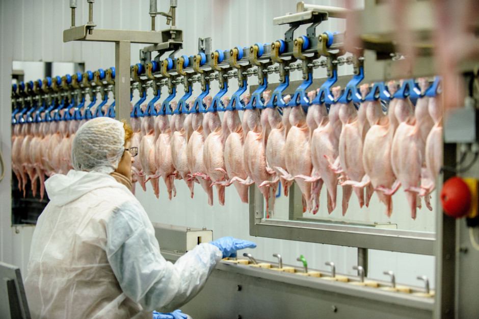 Mięso drobiowe z Polski znów pojedzie do Hongkongu, fot. shutterstock