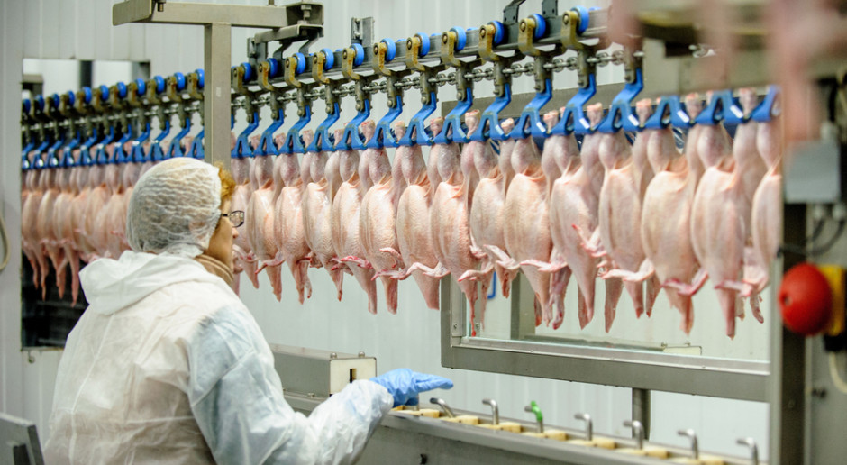Początek czerwca przyniósł kolejne wiadomości o znoszeniu restrykcji restrykcji importowych wprowadzanych ze względu na HPAI w Polsce, fot. Shutterstock Armenia i Singapur łagodzą ograniczenia importowe