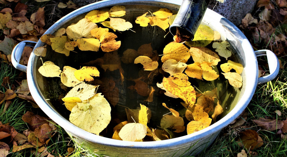 fot. Lena Lindell z Pixabay „Moja woda” pozwoli łapać deszczówkę