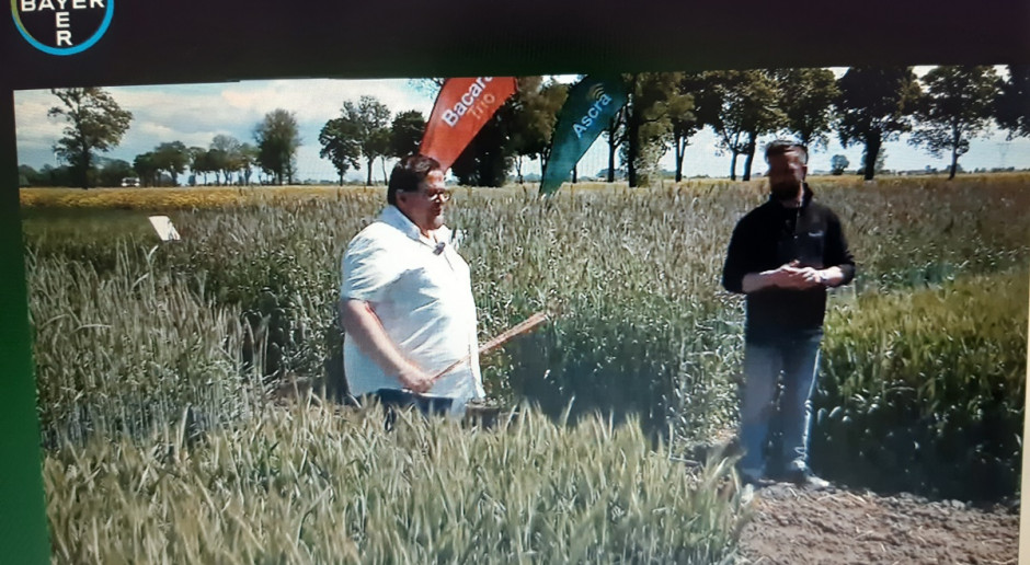 Relacja na żywo prosto z Centrum Doradztwa Technicznego w Pordenowie (woj. pomorskie, powiat malborski). Fot. A. Kobus Prosto z pola – konferencja polowa firmy Bayer