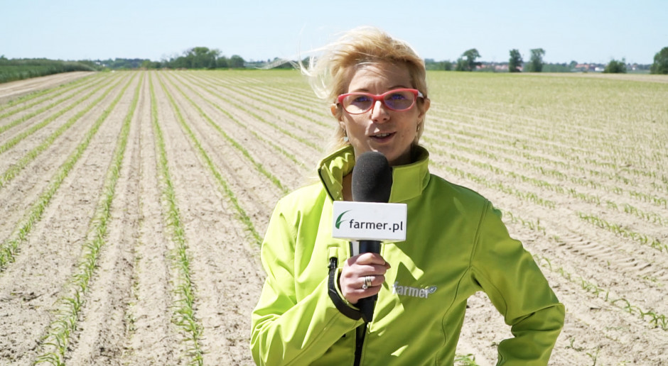 Katarzyna Szulc; fot. farmer.pl Dni pola on-line: Plantacje chronione na czas są zdrowe