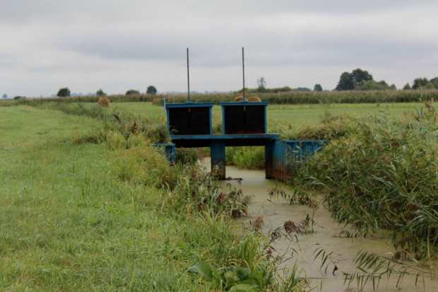 Wytyczne dla melioracji i retencji wód w związku z suszą. Wody Polskie reagują