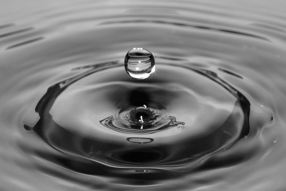 Obecnie wykorzystanie alternatywnych źródeł wody w budynkach inwentarskich nie jest zbyt popularne, jednak przy odpowiednim wsparciu inwestycyjnym mogłoby się to zmienić, fot. Pixabay