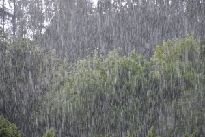 IMGW ostrzega przed intensywnymi opadami deszczu i burzami
